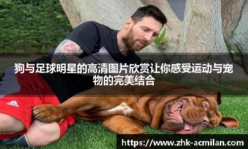 狗与足球明星的高清图片欣赏让你感受运动与宠物的完美结合